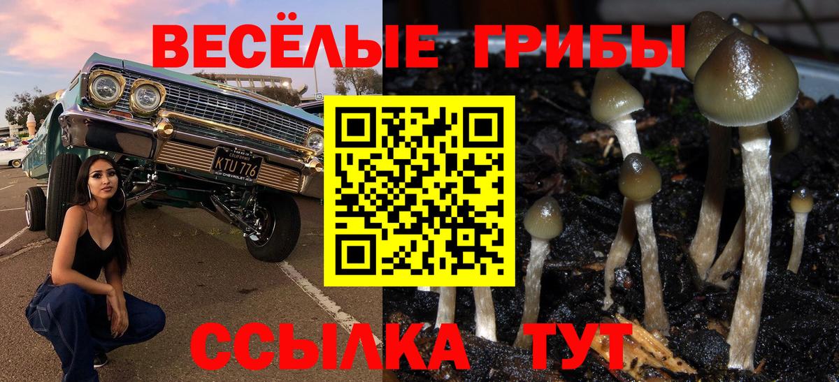 Мурино  Псилоцибиновые грибы прущие грибы  Галлюциногенные грибы Magic Shrooms  Вход с VPN 