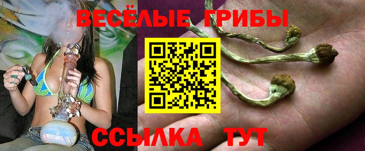 Псилоцибиновые грибы прущие грибы Мурино
