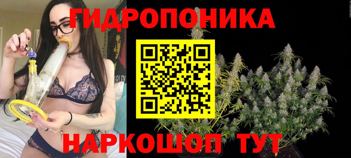 Шишки марихуана план  Бошки Шишки White Widow  Мурино  Вход с VPN  Бошки Шишки план 